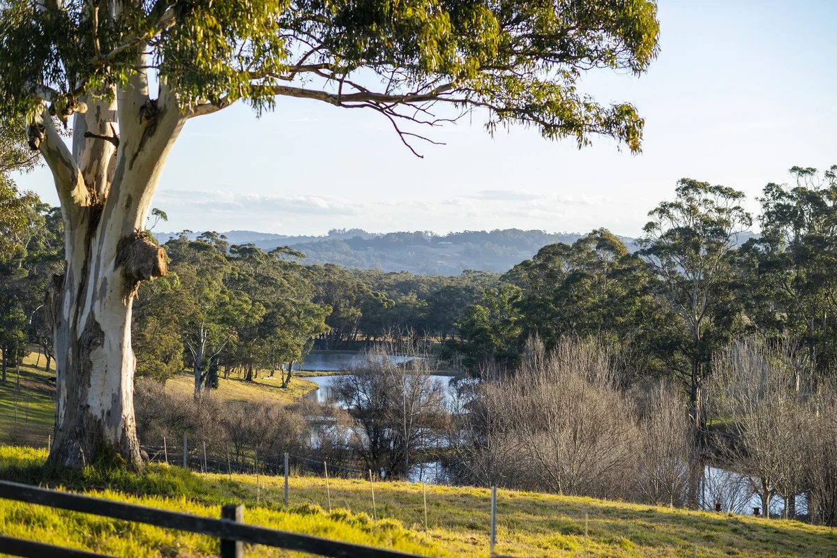 Additional image 21 of 562 Nowra Road, Moss Vale NSW 2577