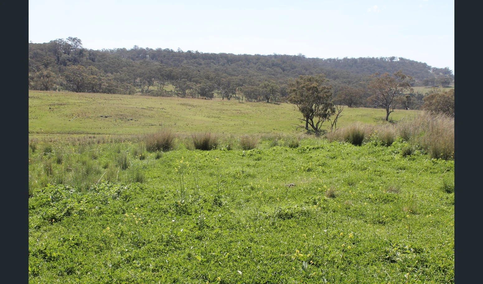 Additional image 10 of Flaggs Road, Merriwa NSW 2329