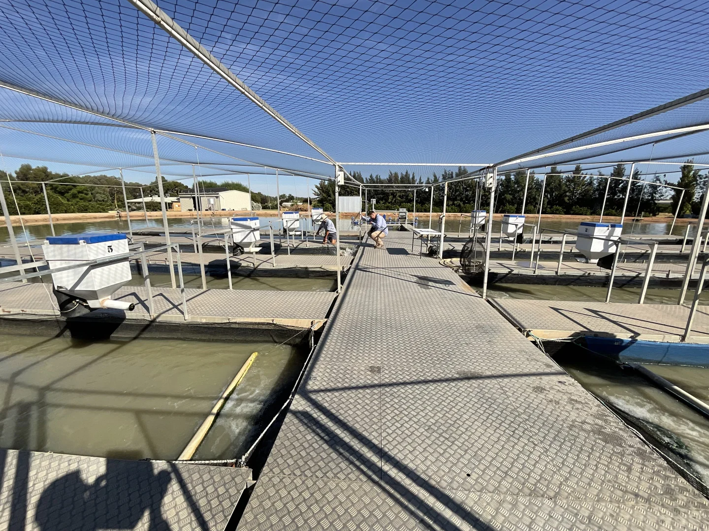 Additional image 17 of 187 Morley Road, Yoogali NSW 2680