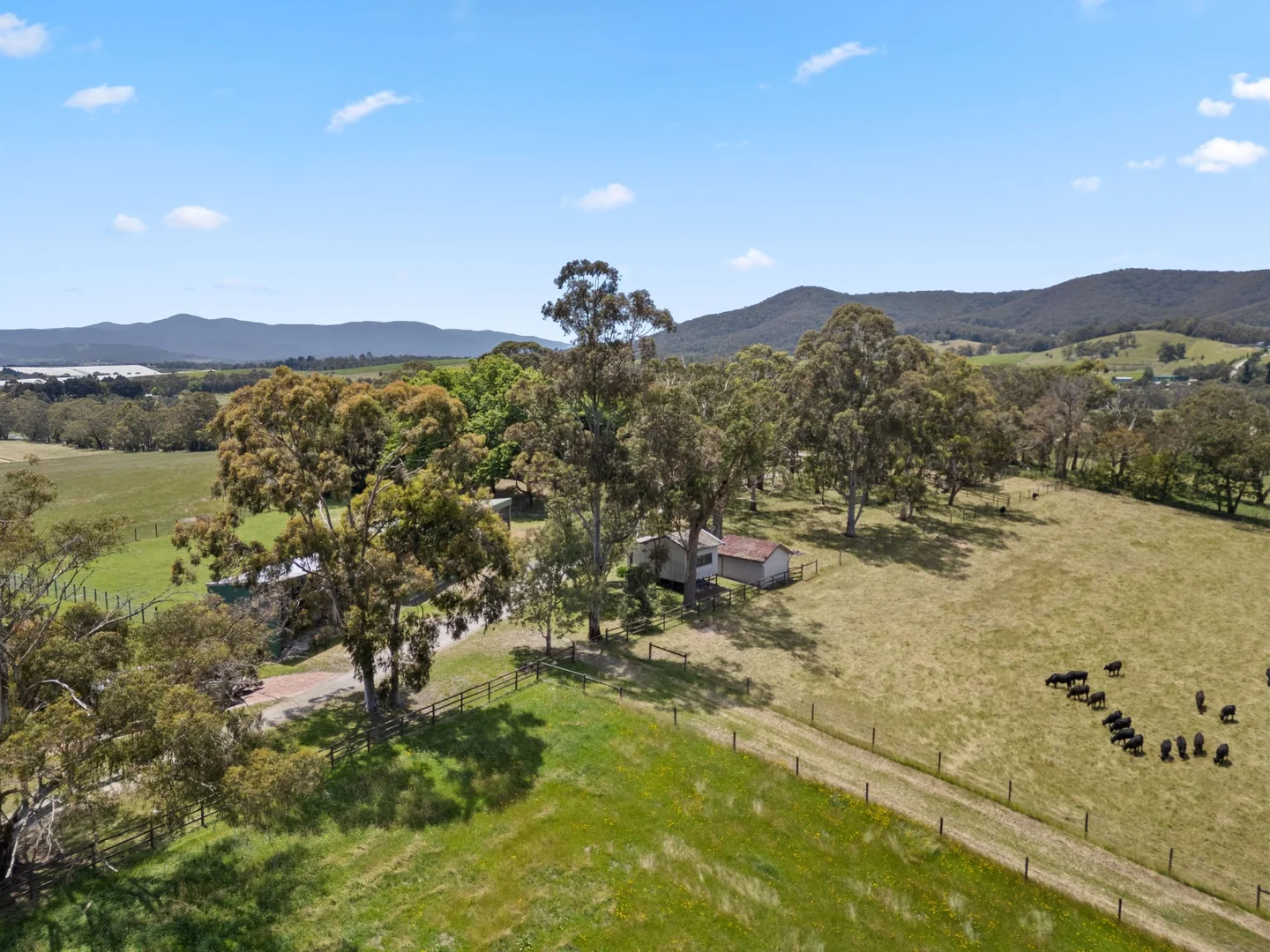 Additional image 15 of 52 Gruyere Road, Gruyere VIC 3770