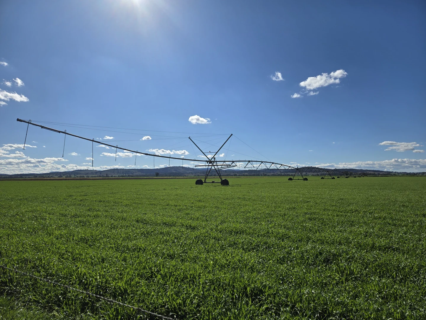 Additional image 7 of 448 Nangar Road, Canowindra NSW 2804