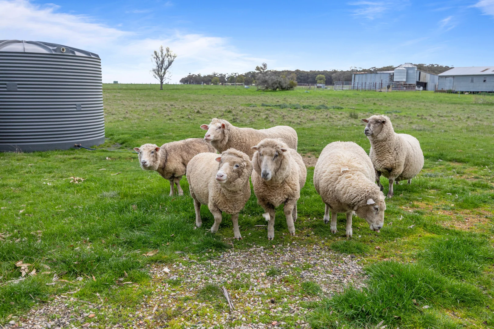 Additional image 29 of 196 Spratlings Road, Ross Creek VIC 3351