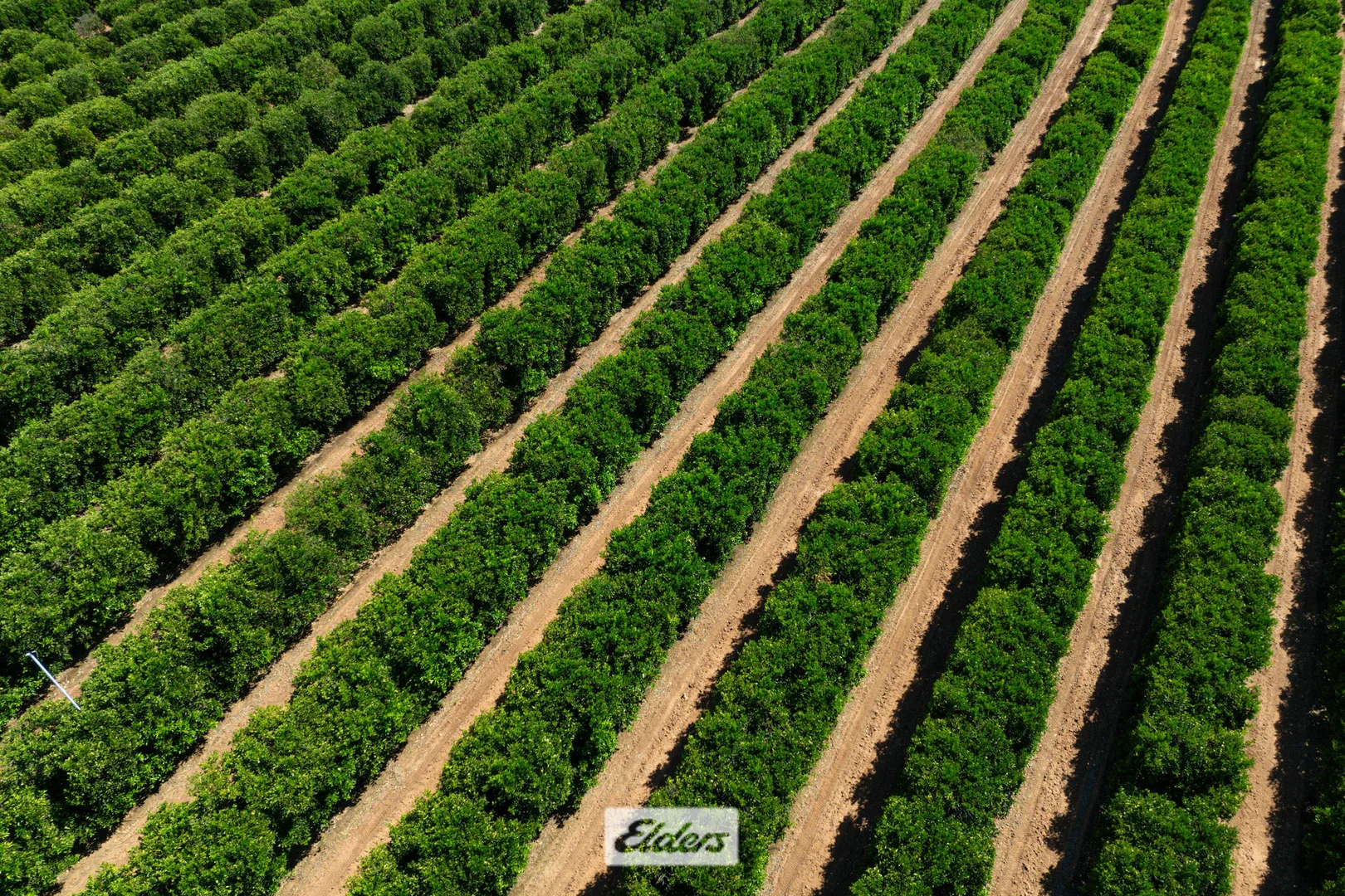 Additional image 12 of 310 Delta Road, Curlwaa NSW 2648