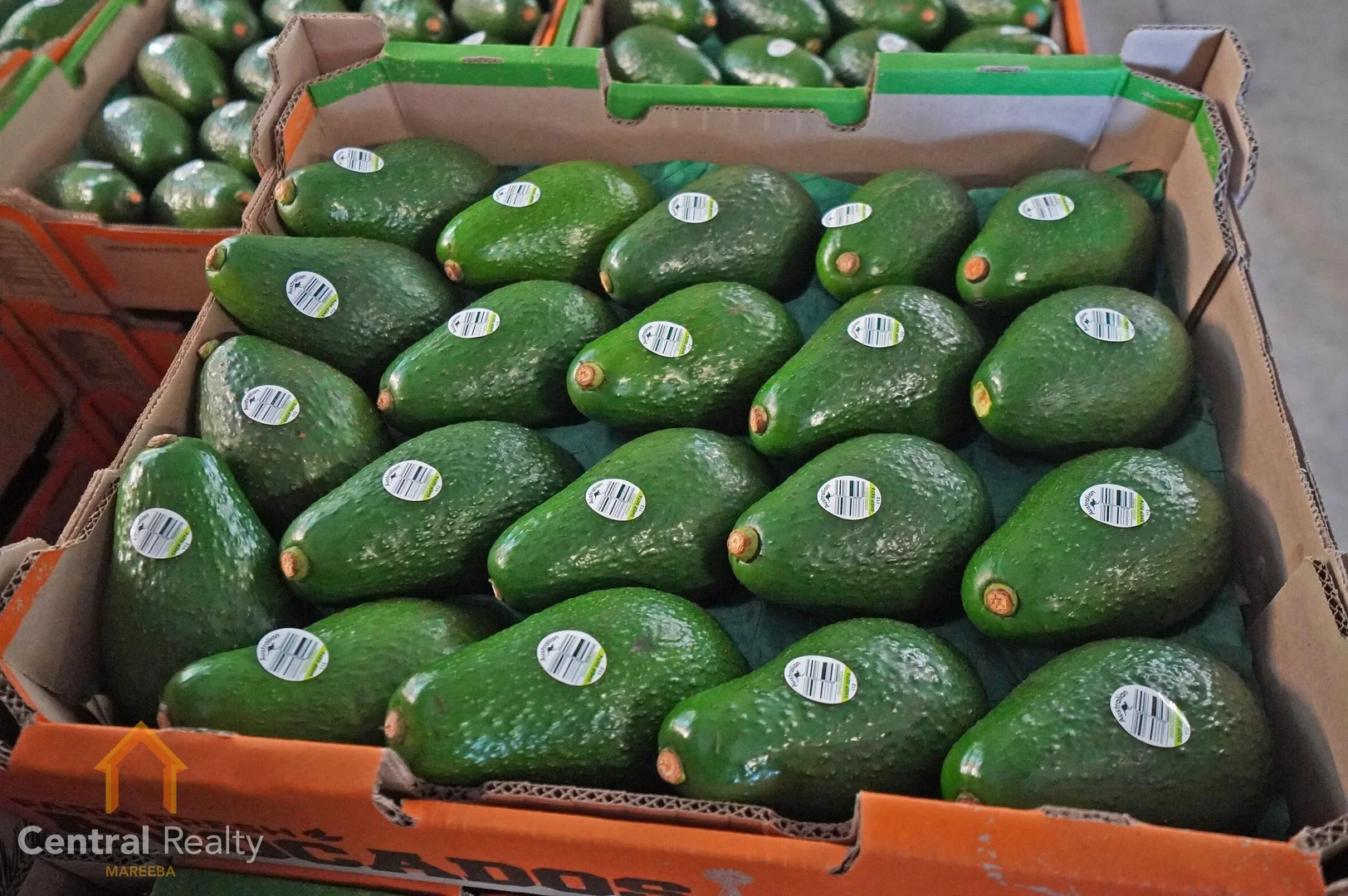 Additional image 19 of 44 Carman Road, Mareeba QLD 4880