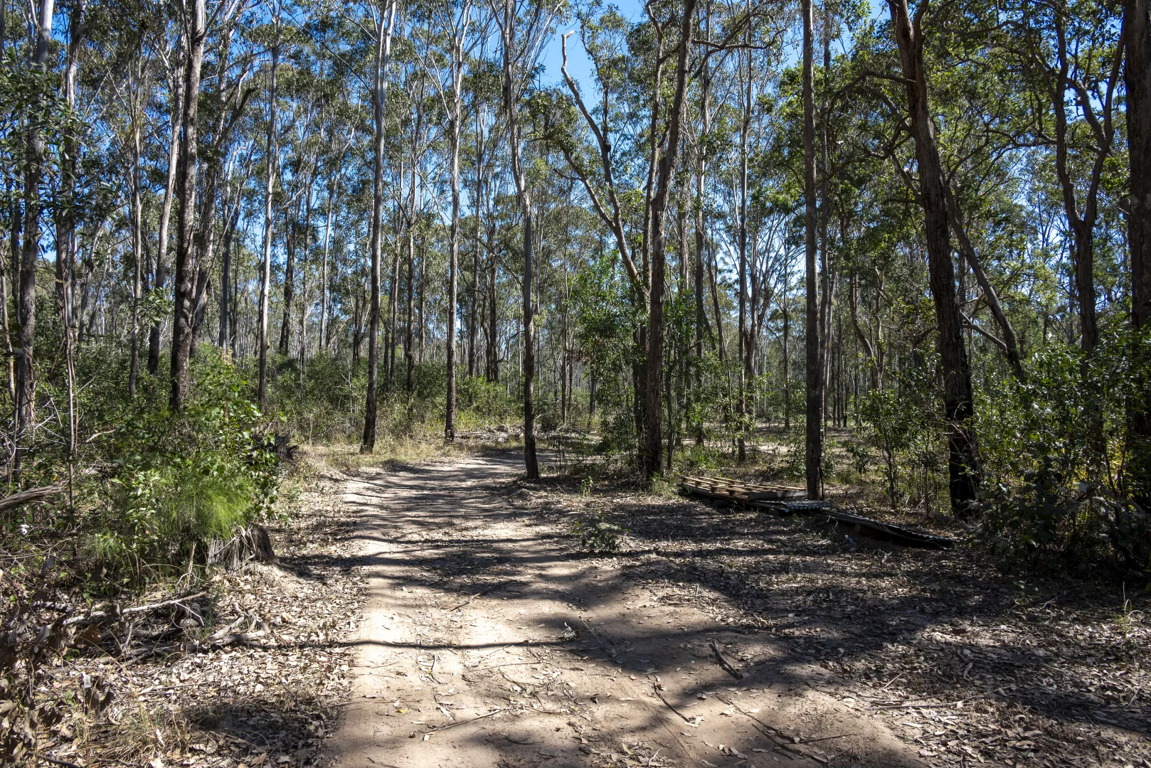Additional image 18 of 151 Cameron Road, Taromeo QLD 4314