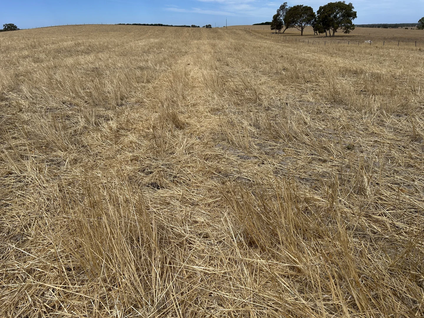 Additional image 6 of Lot 189 and 323 Roy Lawries Road, Lochaber SA 5271