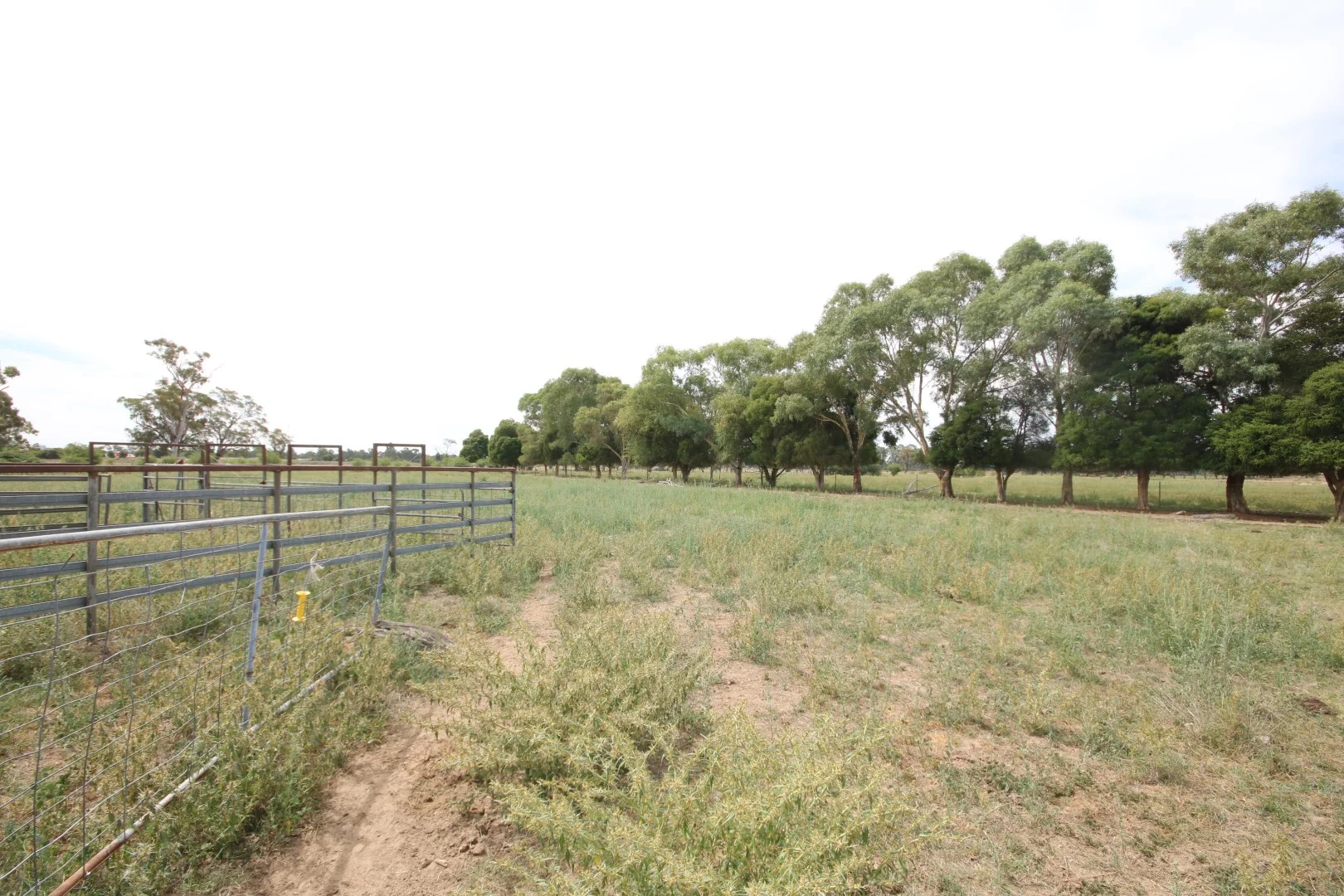 Additional image 6 of Lot 3 McGrath Road, Stanhope VIC 3623