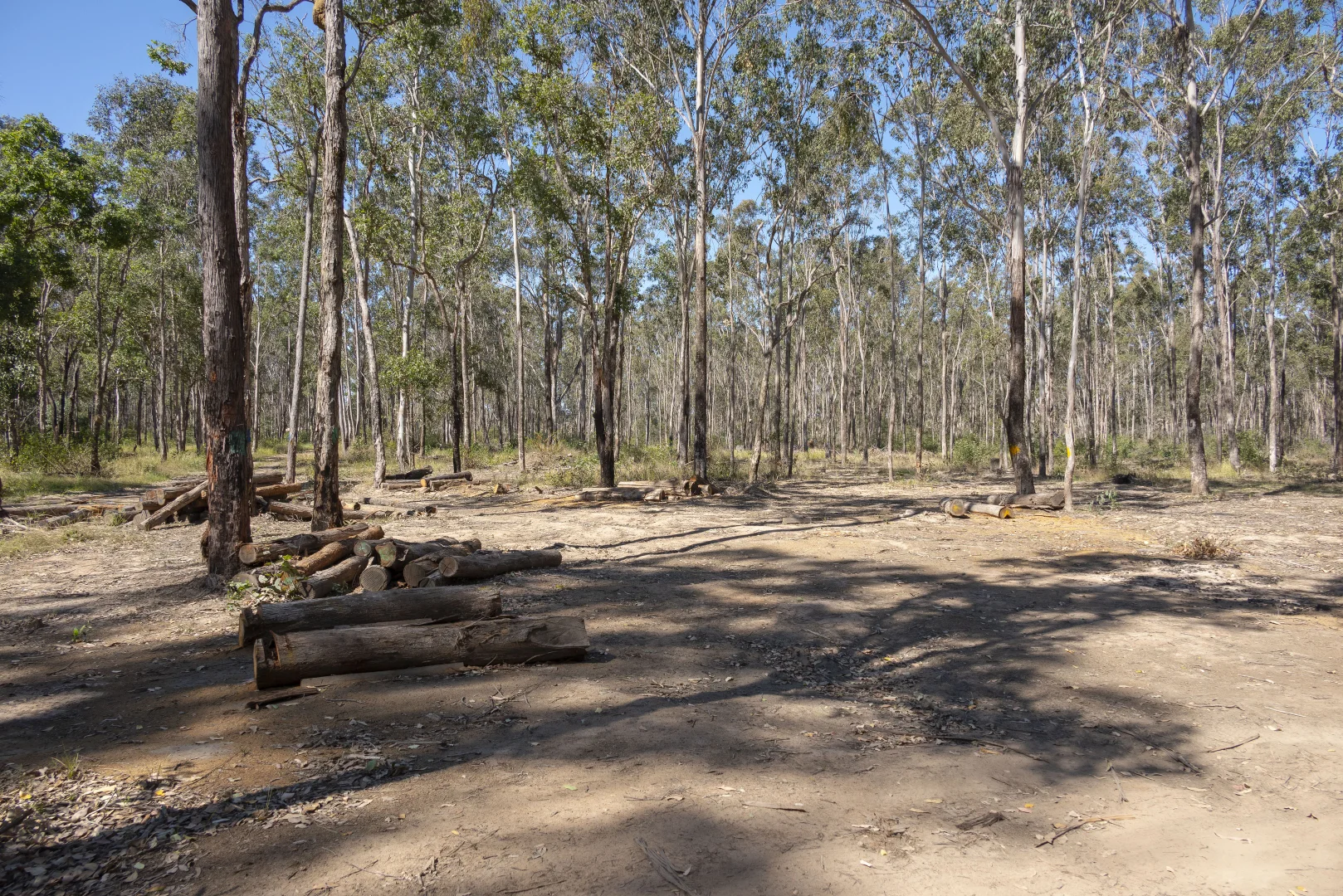 Additional image 32 of 151 Cameron Road, Taromeo QLD 4314