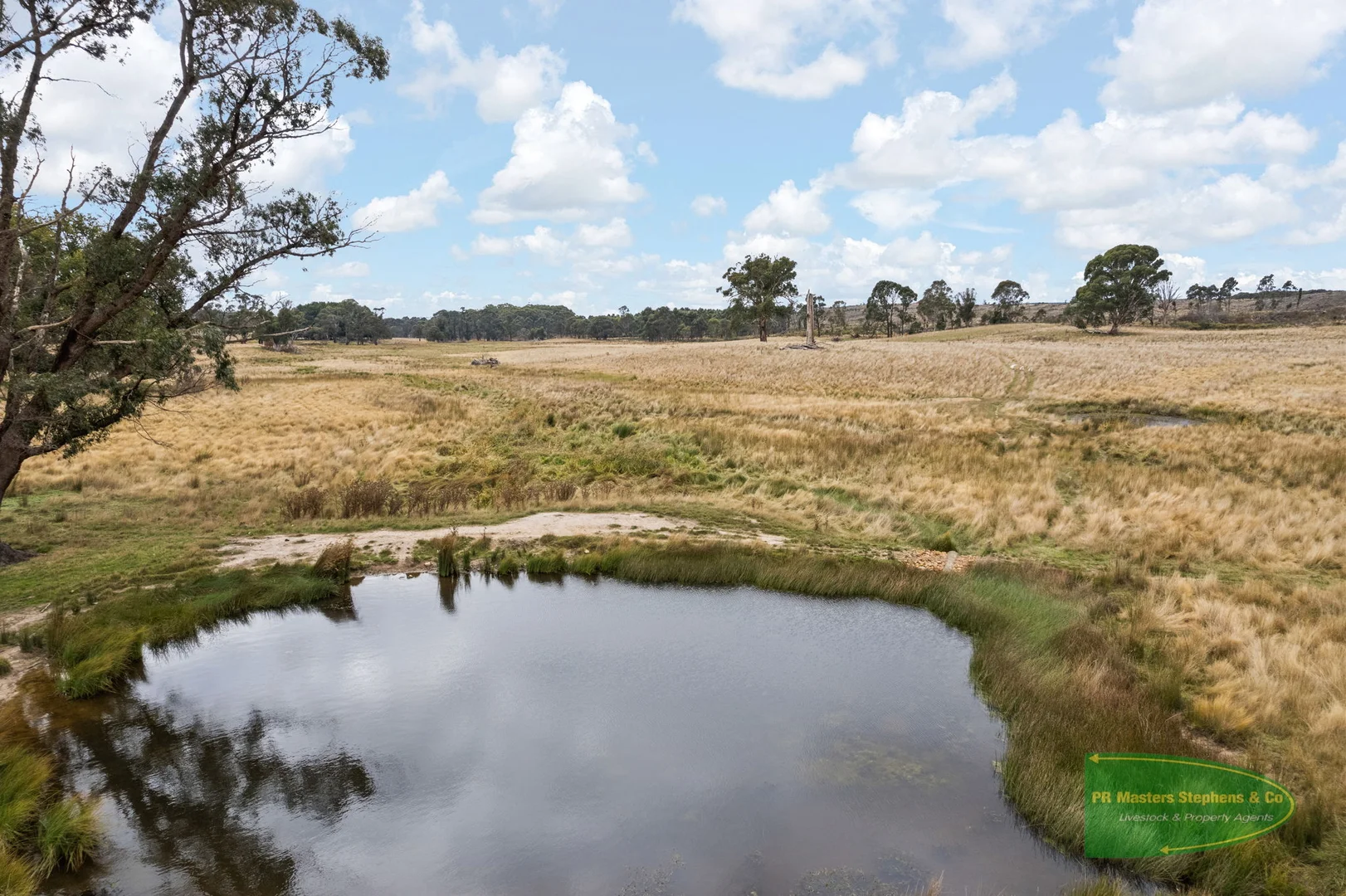 Additional image 10 of 800 Riverview Forest Road, Mozart NSW 2787