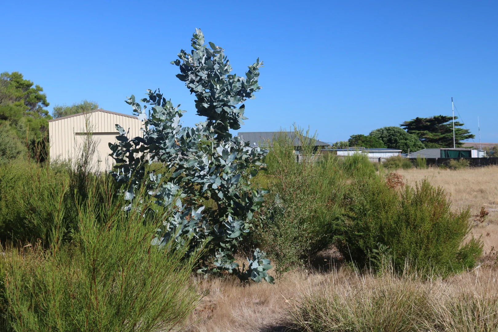 Additional image 10 of 4 Barr Street, Lady Barron TAS 7255