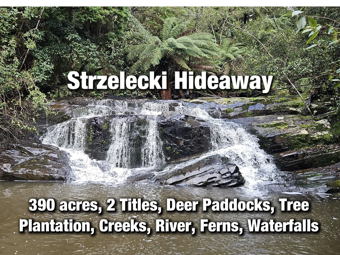 Grand Ridge VIC 3870