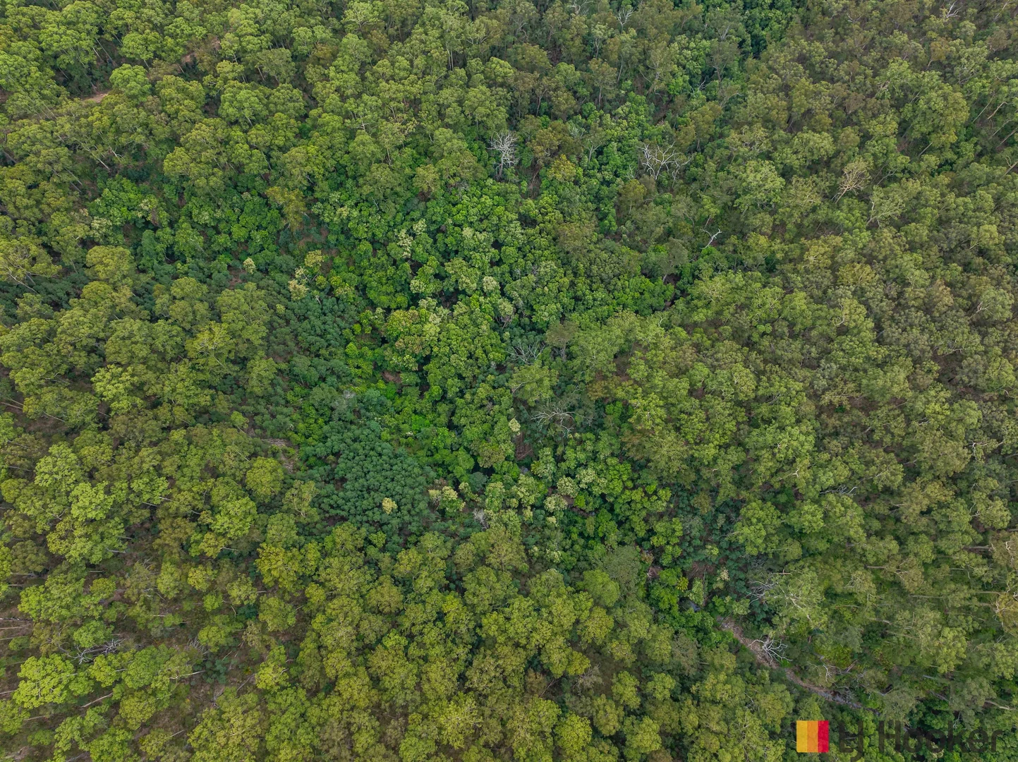 Additional image 13 of Lot 3 Pig Road, Currowan NSW 2536