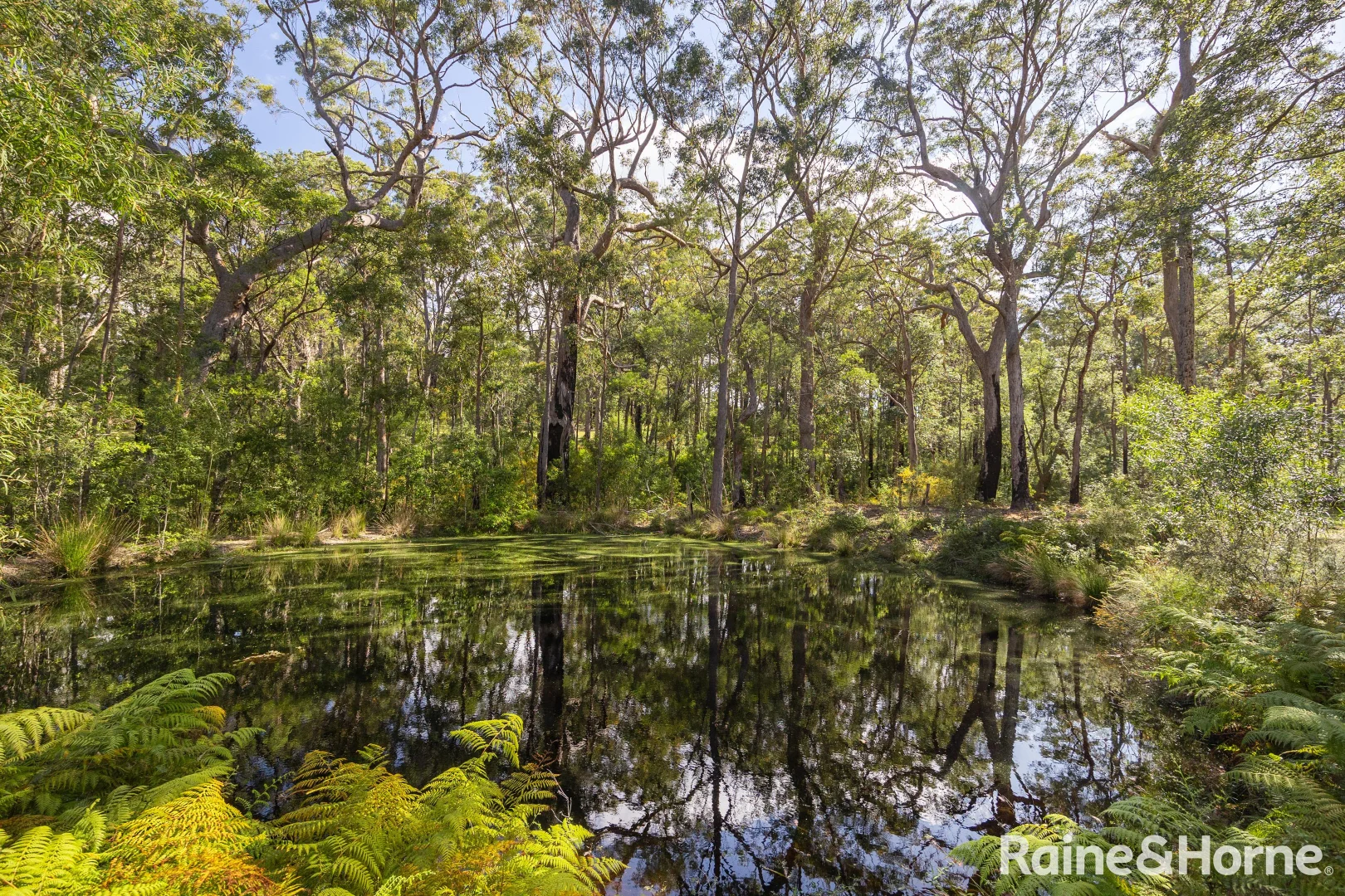 Additional image 15 of Lot 3, 315C Little Forest Road, Little Forest NSW 2538