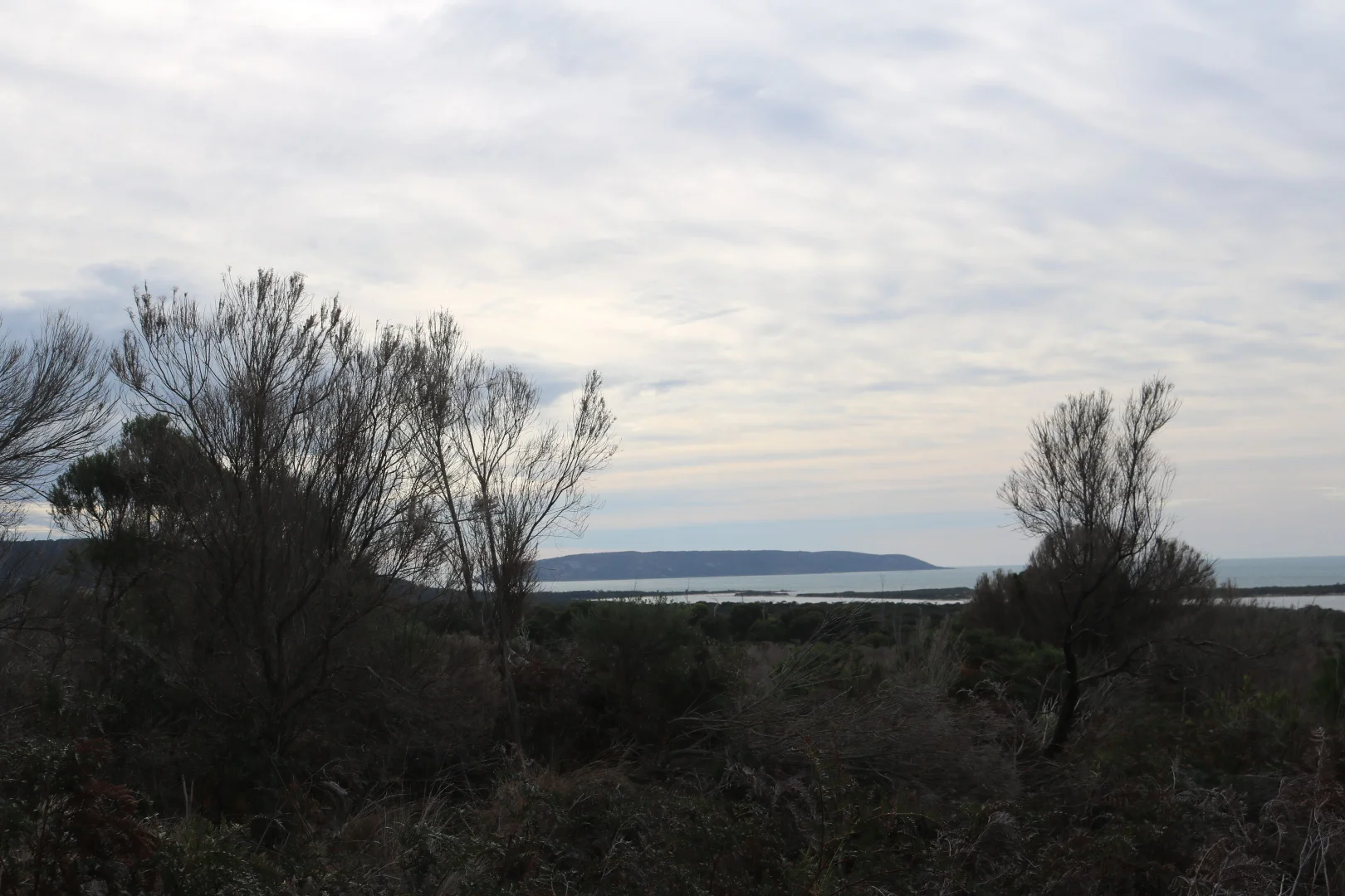 Additional image 4 of Lot 1 North East River Road, Palana TAS 7255