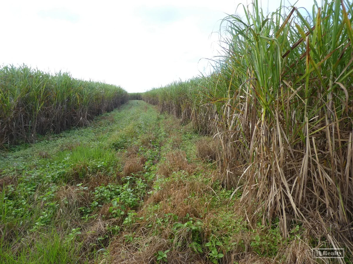 Additional image 2 of Midgenoo QLD 4854