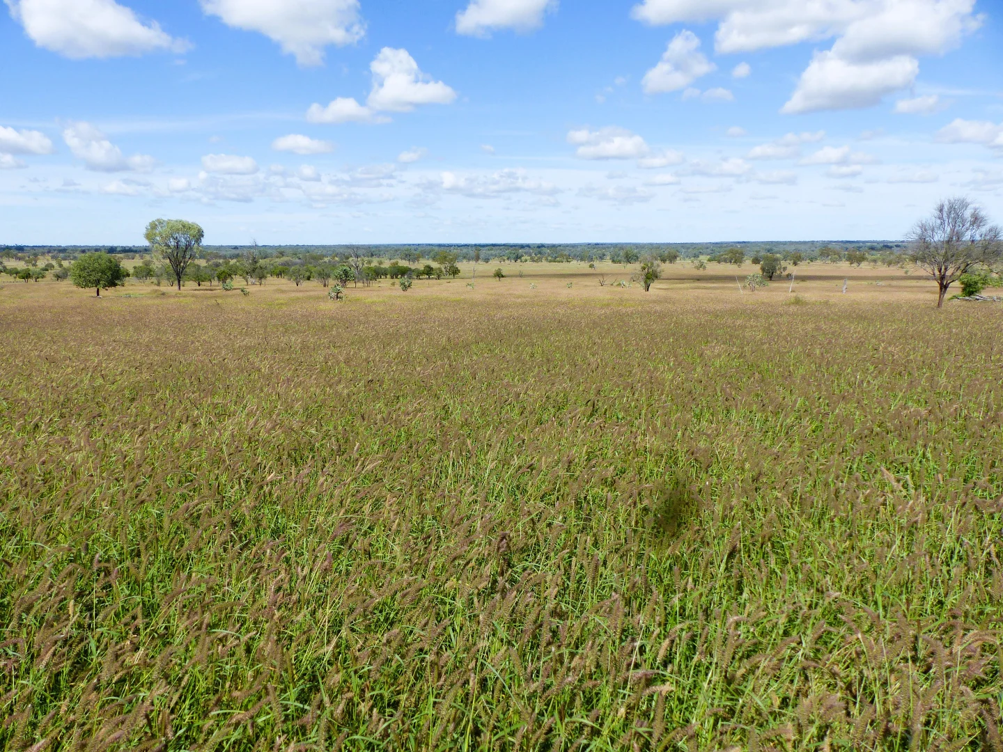 Additional image 32 of 'Glencoe' 28547 Carnarvon Highway, Roma QLD 4455