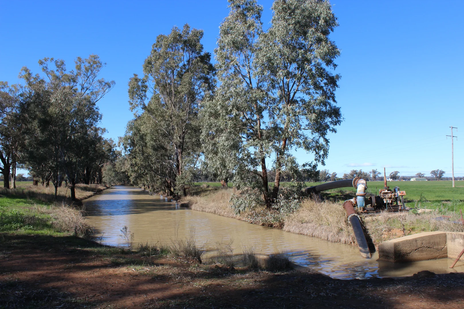 Additional image 36 of 8065 Lachlan Valley Way, Forbes NSW 2871
