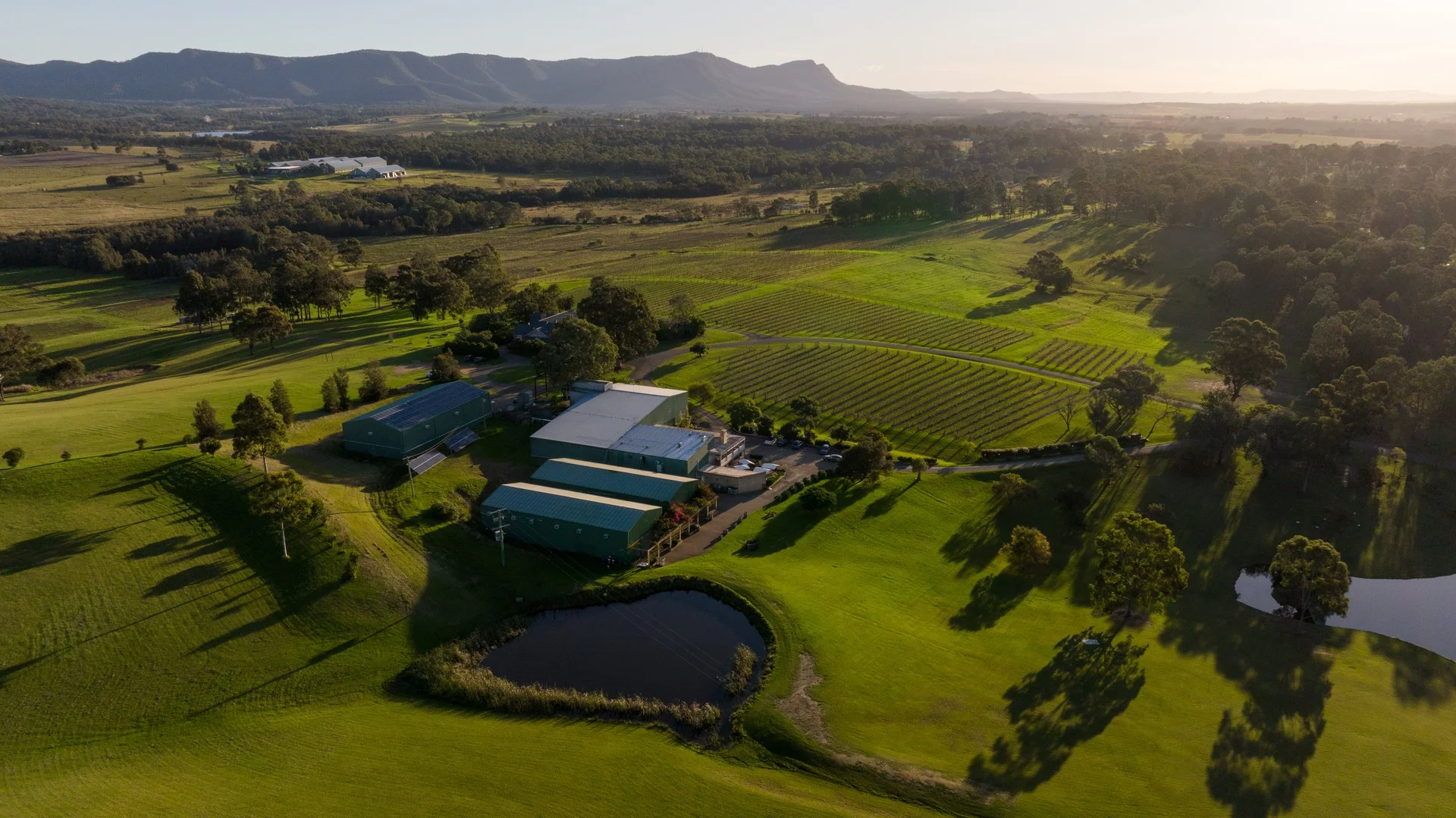 Additional image 18 of 151 Palmers Lane, Pokolbin NSW 2320