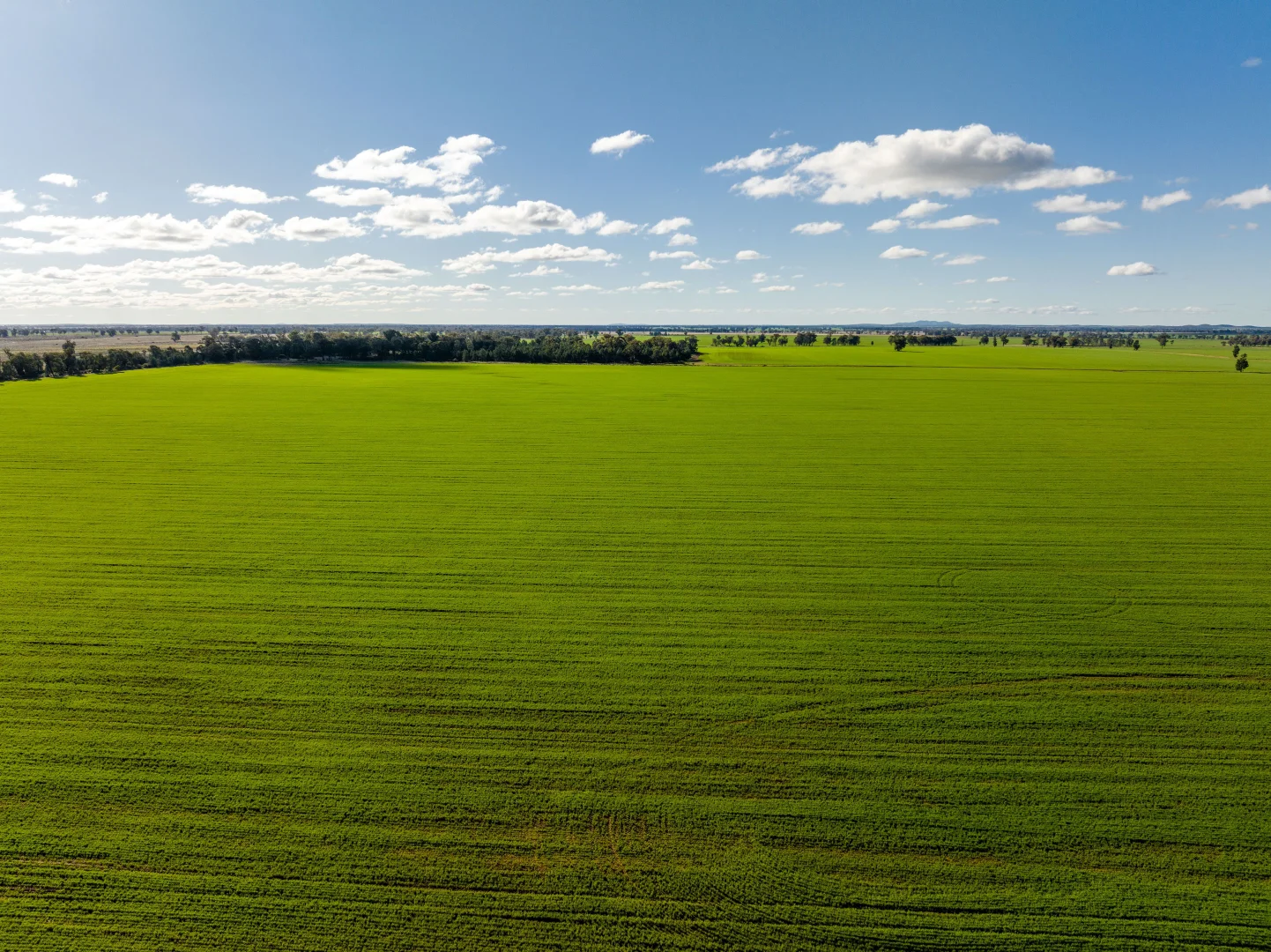 Additional image 7 of 795 Younga Plains Rd, West Wyalong NSW 2671