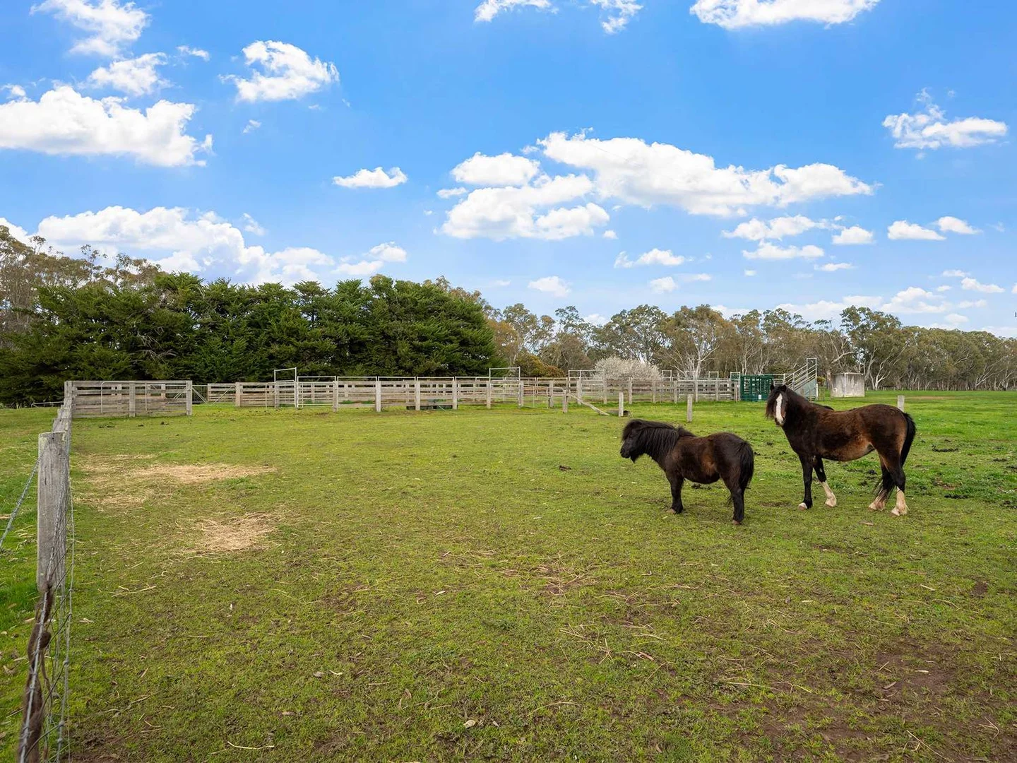 Additional image 24 of 3786 Casterton Edenhope Road, Chetwynd VIC 3312