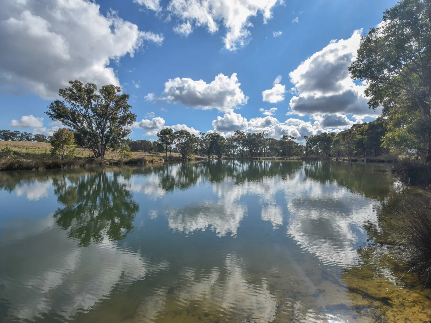 Additional image 8 of 155 Tierneys Road, Young NSW 2594