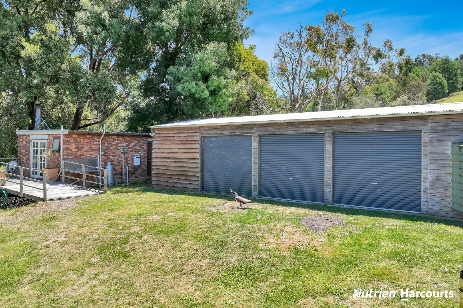 Additional image 5 of 1704 Tarra Valley Road, Tarra Valley VIC 3971