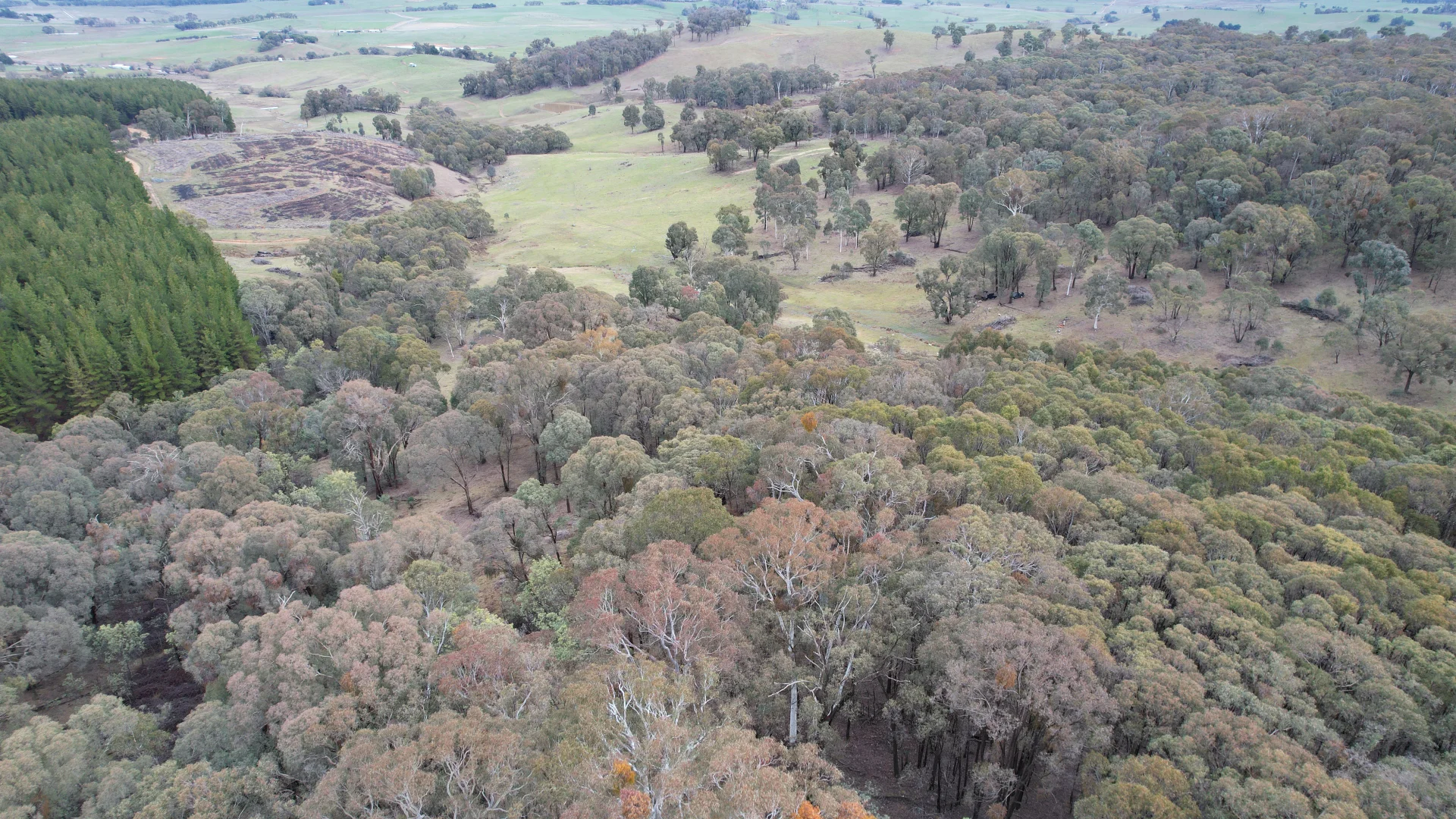 Additional image 6 of Lots 1, 4, 7 Glenroy Hills Road, Tumbarumba NSW 2653