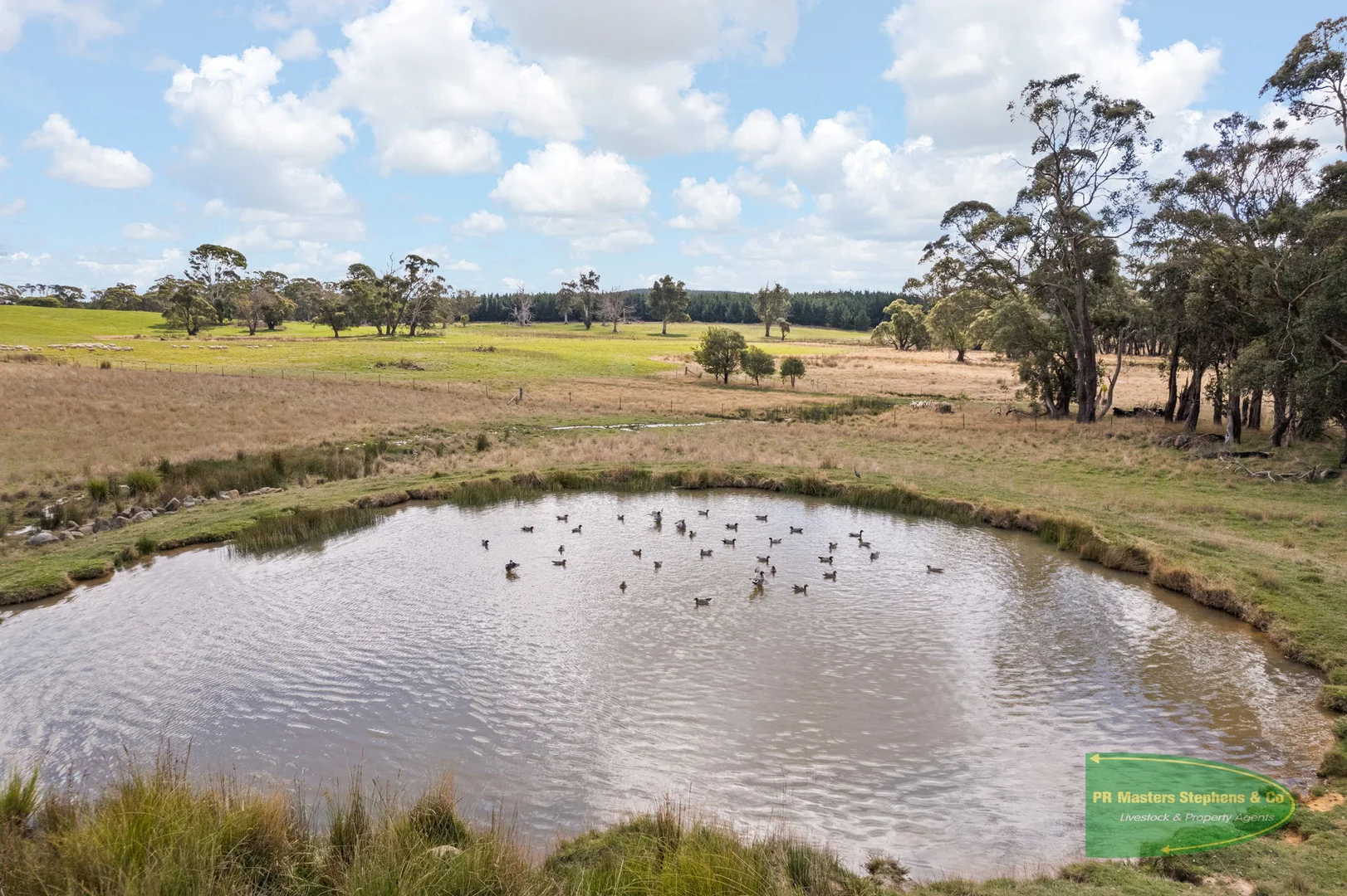 Additional image 30 of 800 Riverview Forest Road, Mozart NSW 2787