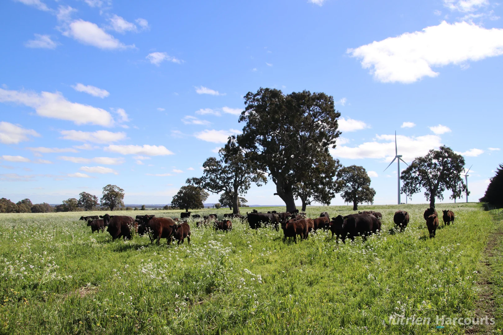 Additional image 10 of Lot 2 Beaufort-Waubra Road, Ercildoune VIC 3352