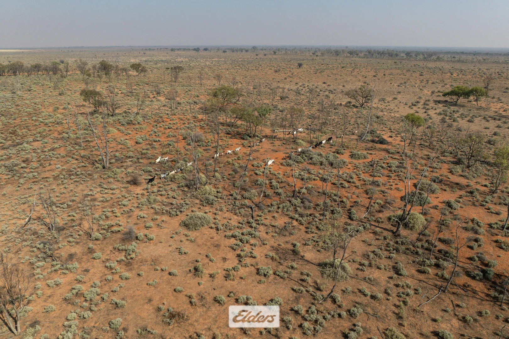 Additional image 10 of 340 West Wilcannia Road, Menindee NSW 2879