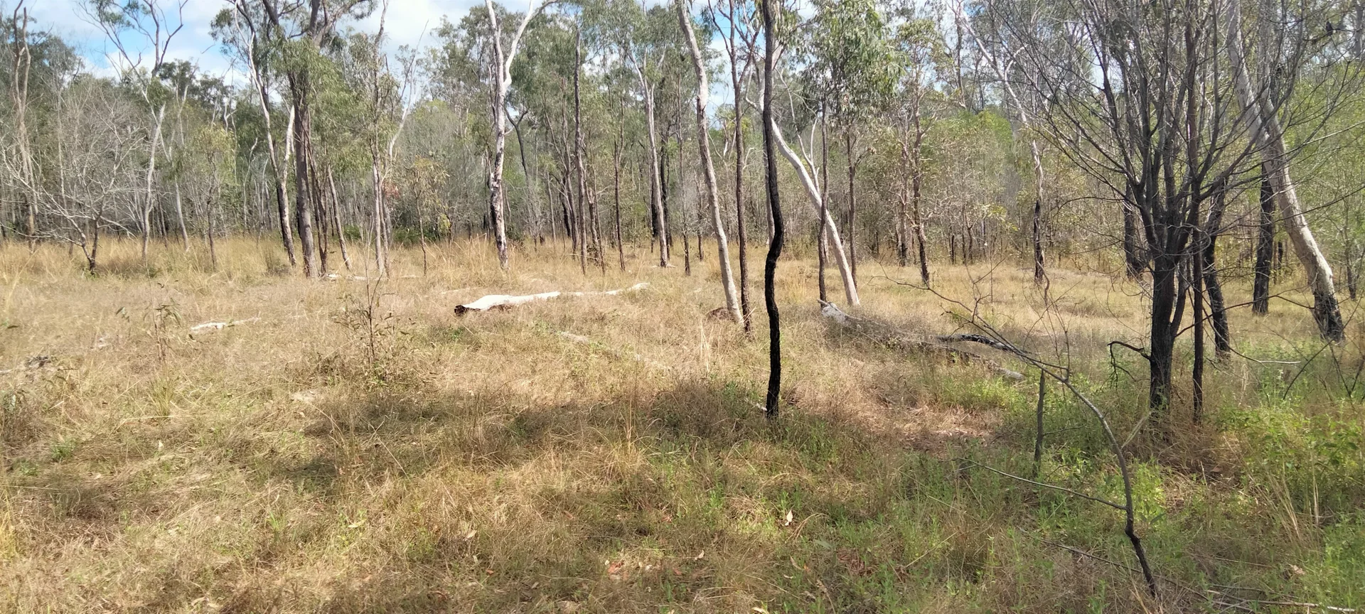 Additional image 20 of 3359 Lowmead Road, Lowmead QLD 4676