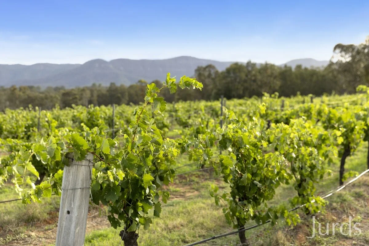 Additional image 8 of 861 & 913 Hermitage Road, Pokolbin NSW 2320