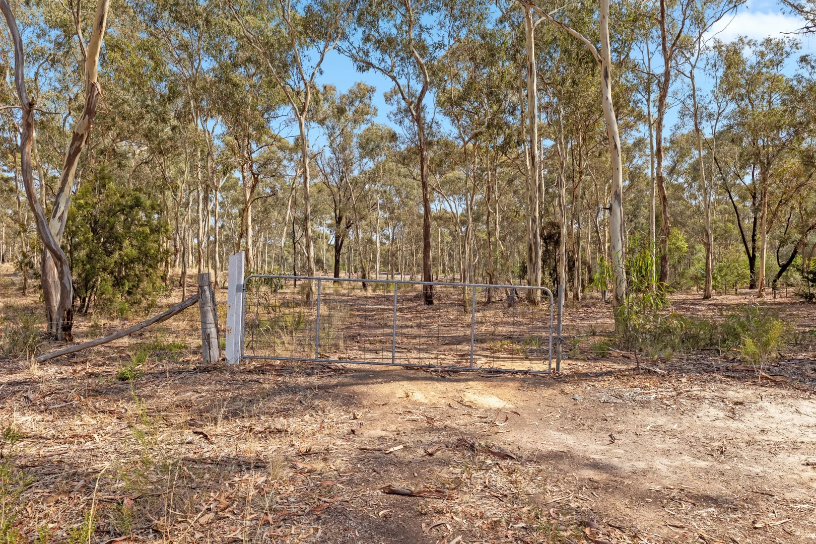 Additional image 3 of 16-20 Williams Road, Myers Flat VIC 3556