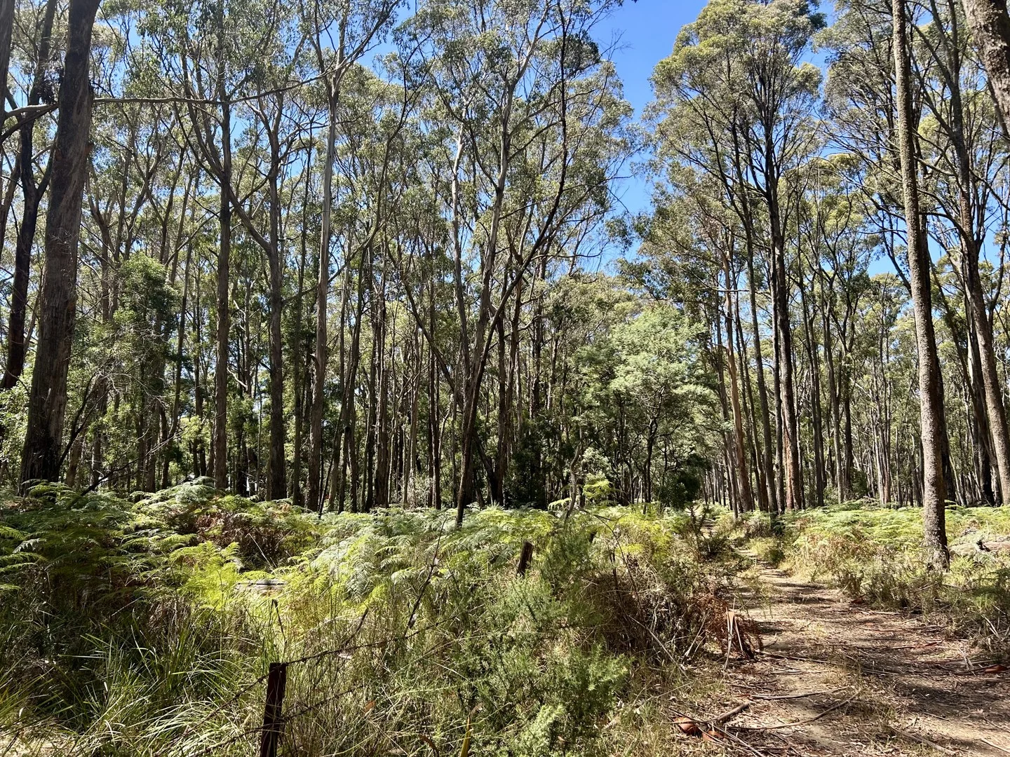 Additional image 3 of 18 Golden Point Road, Trentham VIC 3458