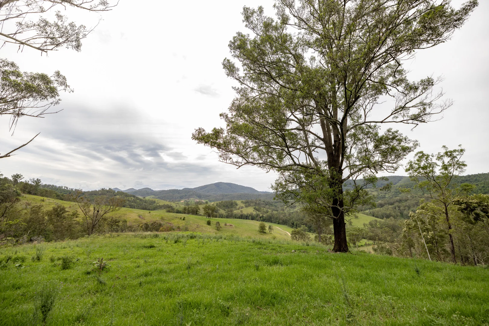 Additional image 5 of 141 Khatambuhl Creek Road, Mount George NSW 2424