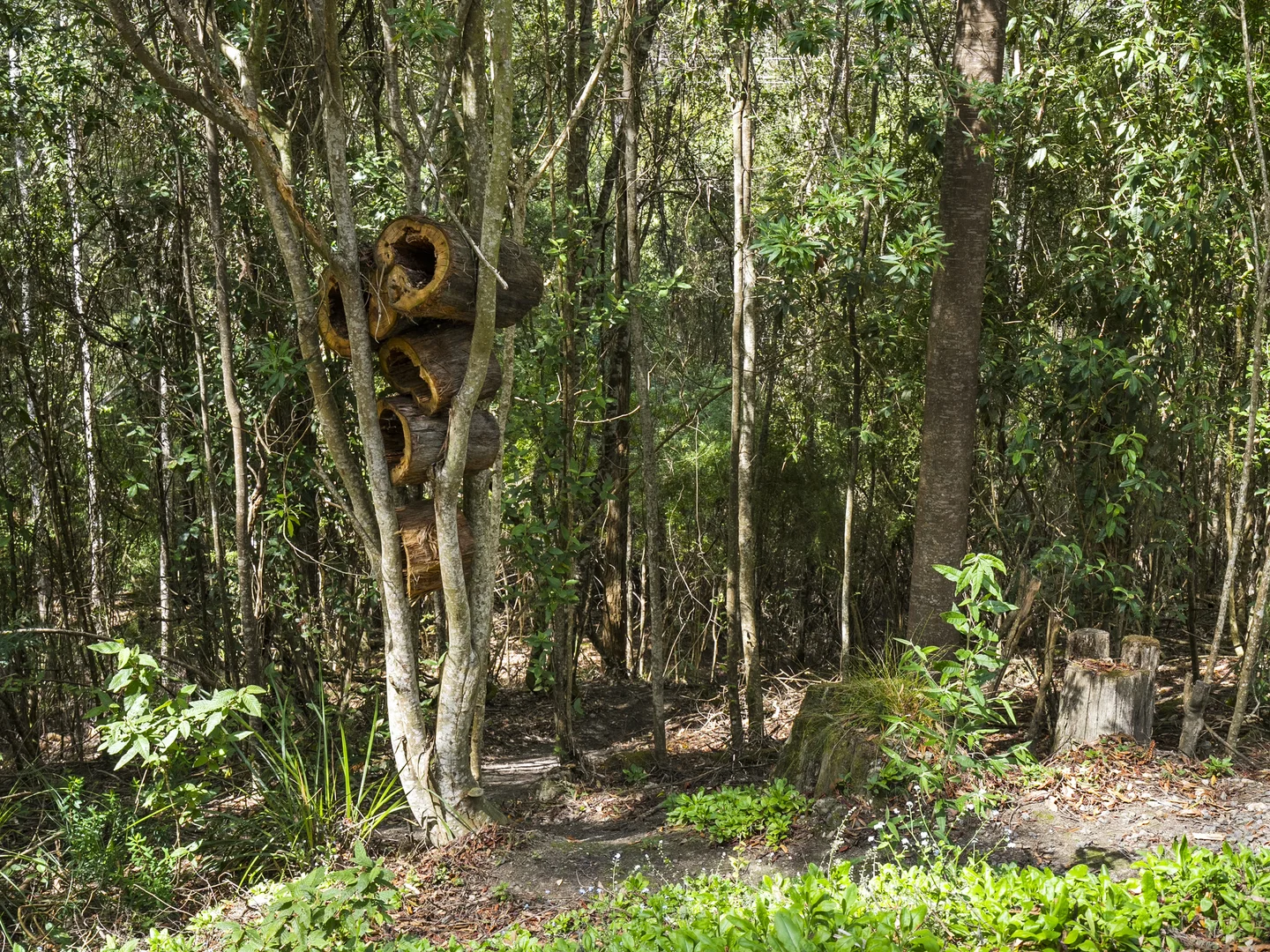 Additional image 23 of 321 Pirates Bay Drive, Eaglehawk Neck TAS 7179