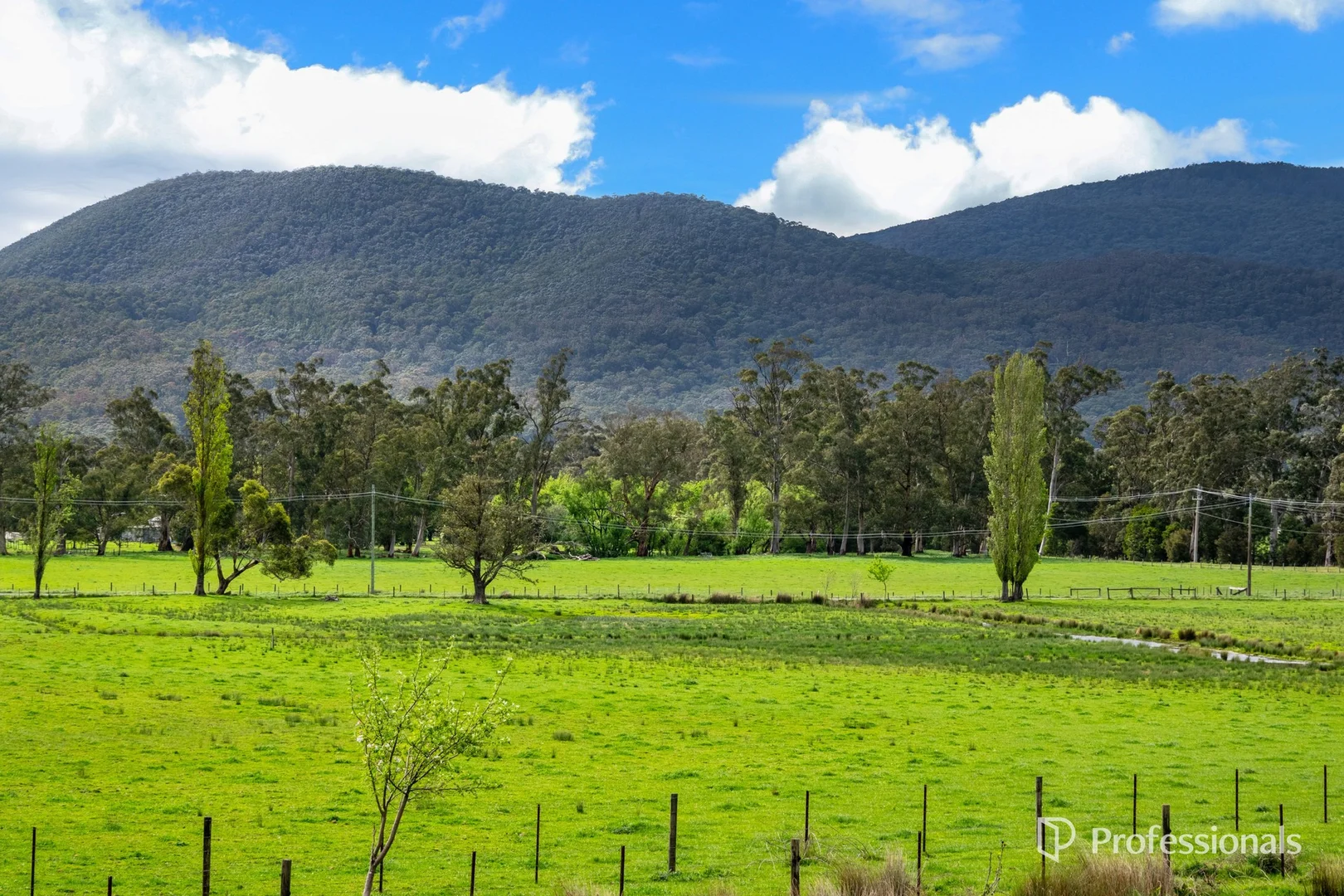 Additional image 39 of 230 Station Road, Wesburn VIC 3799