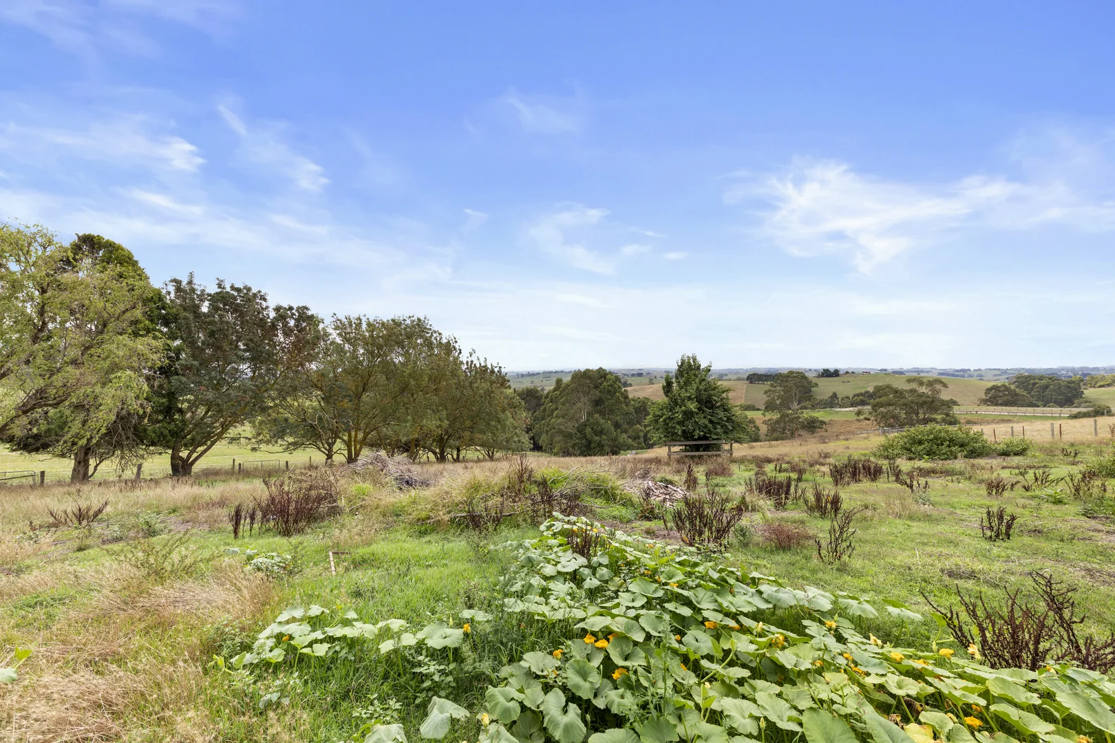 Additional image 23 of 2045 Drouin-Korumburra Road, Poowong VIC 3988