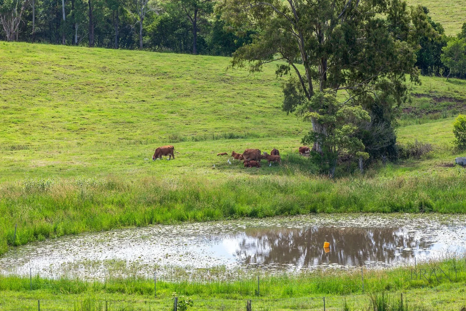 Additional image 28 of 28 Jewett Road, Kureelpa QLD 4560