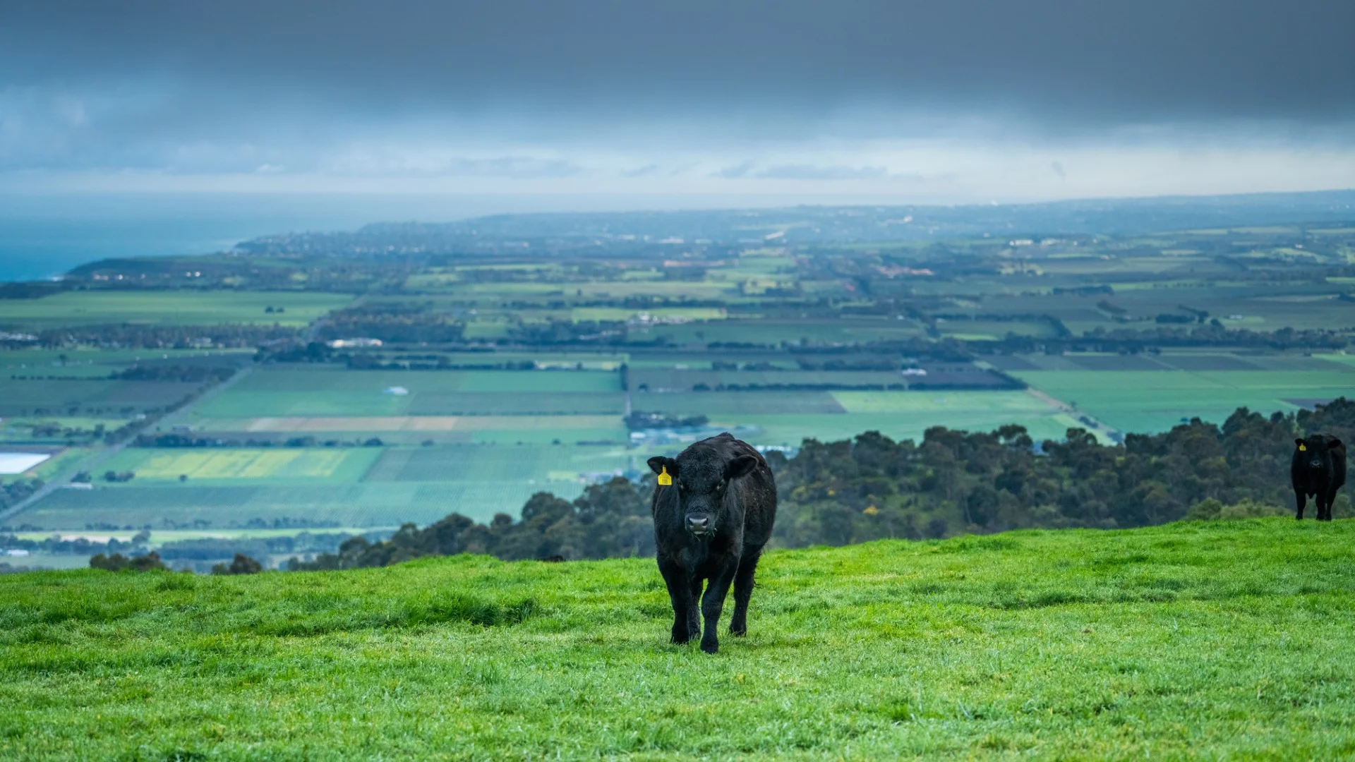 Additional image 2 of Old Sellicks Hill Road, Sellicks Hill SA 5174
