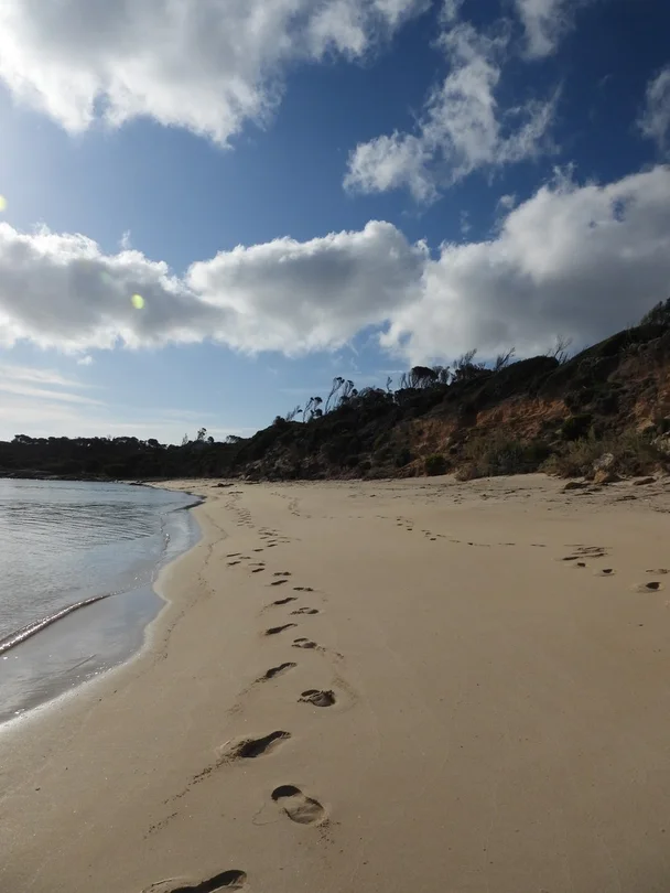 Additional image 2 of Lot 10 West End Road, Leeka TAS 7255