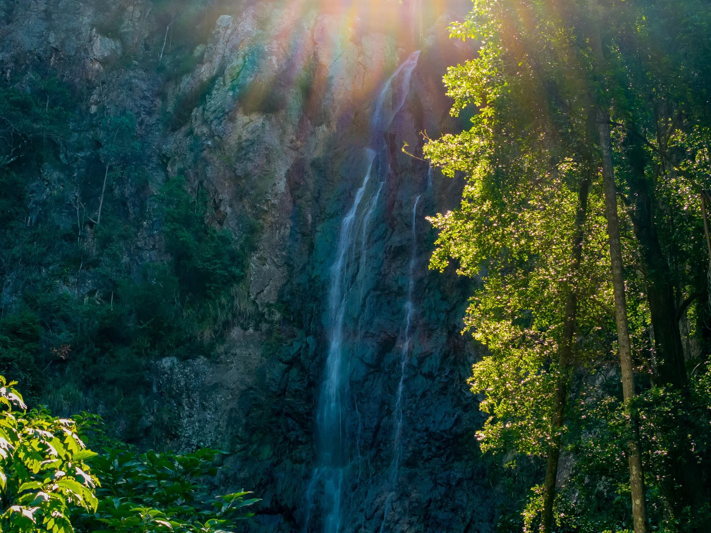 Additional image 10 of 196-276 Kaiser Road, Tamborine Mountain QLD 4272