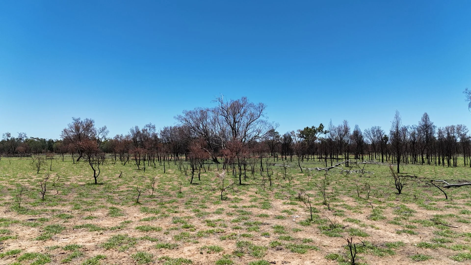 Additional image 19 of 202-410 Wallal Street, Bakers Bend QLD 4470