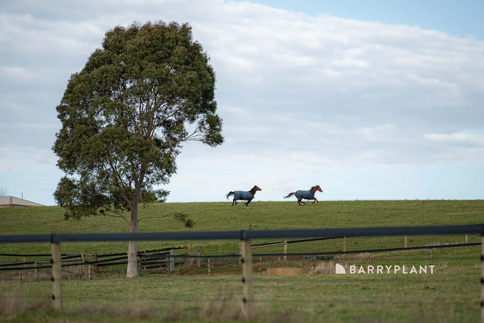 Additional image 7 of 292 Longwarry-Drouin Road, Longwarry VIC 3816