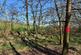 Additional image 12 of Needlewood Grove, Redditch, Worcestershire B48
