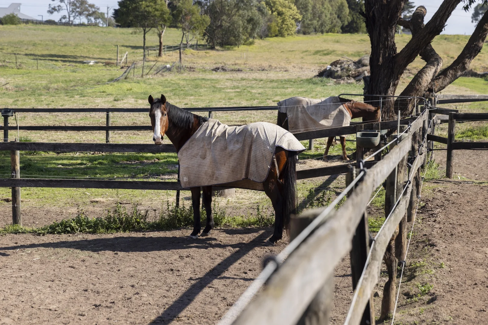 Additional image 15 of 160 Bungower Road, Mornington VIC 3931