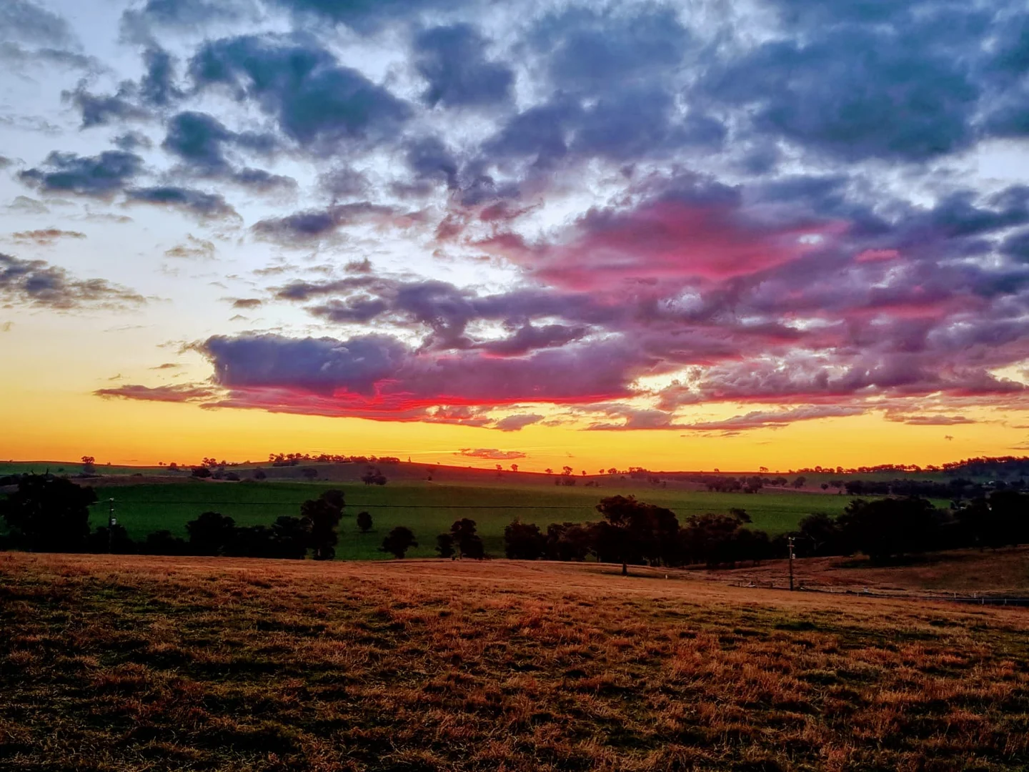 Additional image 11 of Lots 1-14 Willowvale Road, Cowra NSW 2794