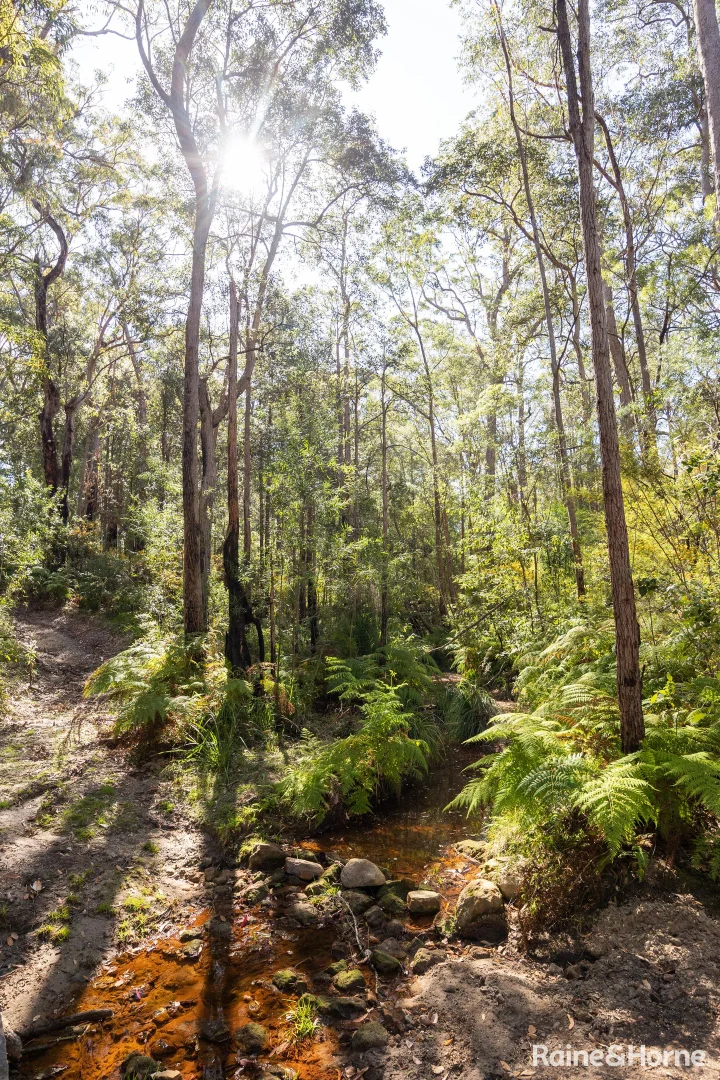 Additional image 17 of Lot 3, 315C Little Forest Road, Little Forest NSW 2538