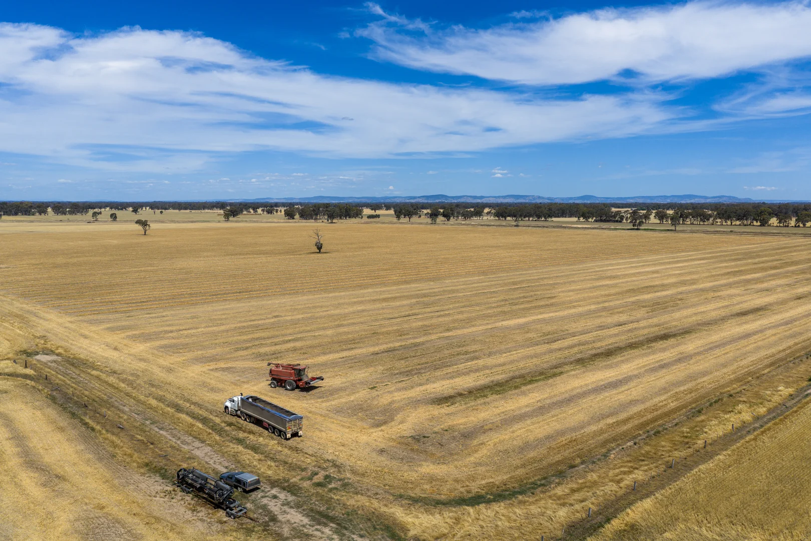 Additional image 8 of 600 Trevaskis Road, Kialla East VIC 3631