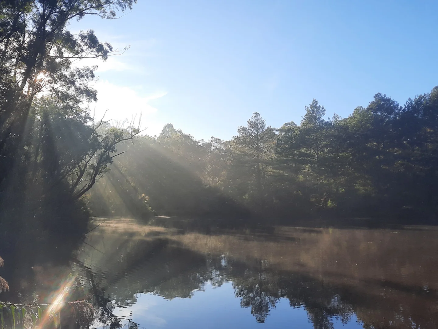 Additional image 11 of 2 Sunnyridge Road, Arcadia NSW 2159